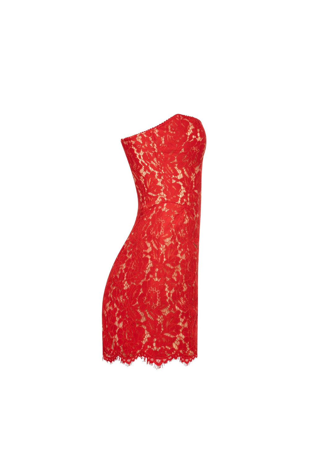 Red Nude Sheer Sleeveless Corset Mini Dress