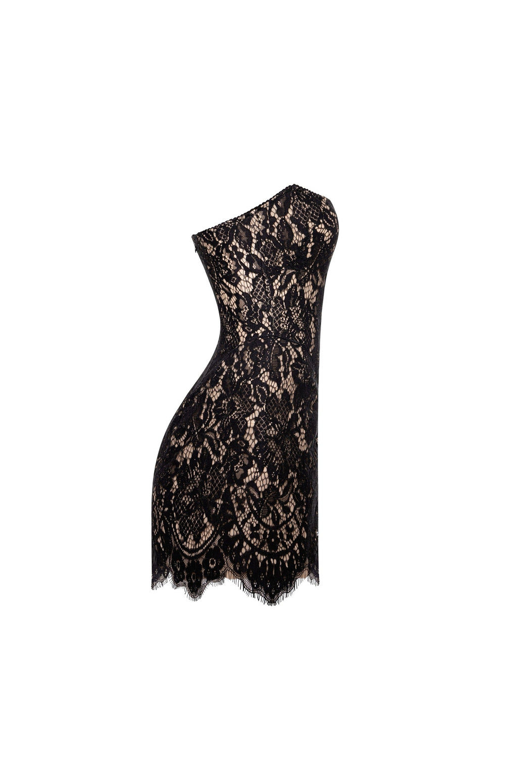 Black Sheer Nude Strapless Corset Mini Dress