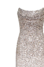 Fitted Sparkle Statement Silver Long Dress