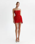 Red Nude Sheer Sleeveless Corset Mini Dress