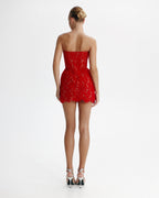 Red Nude Sheer Sleeveless Corset Mini Dress